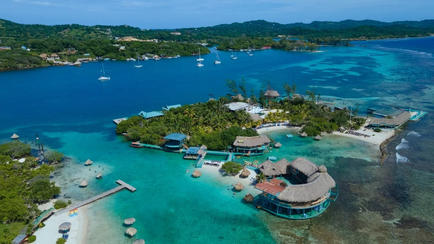 Monkeys and Sloths Roatan